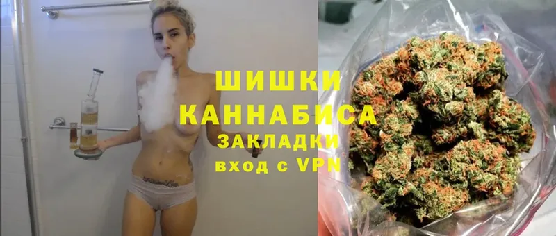 где можно купить наркотик  Новороссийск  Канабис White Widow 